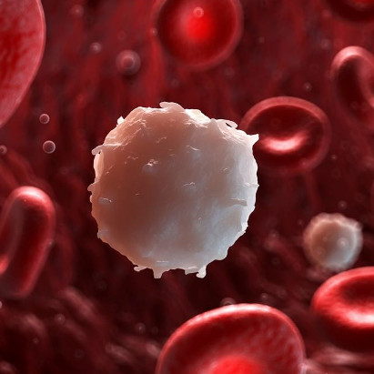 Find out how to make blood cancer cells kill each other