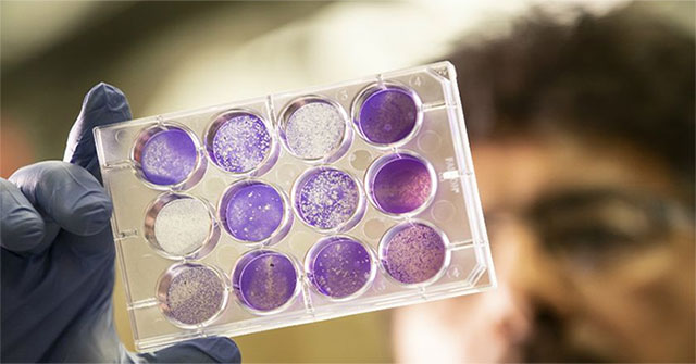 Find out how to preserve vaccines without refrigeration for months