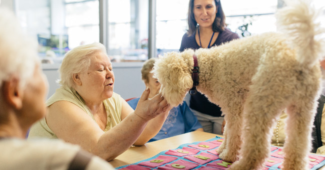 Find out how to prevent Alzheimer's from developing in animals