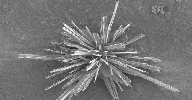 Find out how to 'recycle' carbon dioxide into plastic