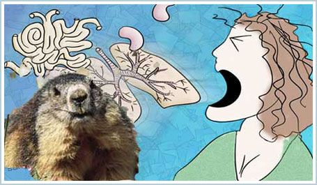 Find out the cause of plague in China