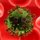 Find out the 'invisible cover' of the HIV virus