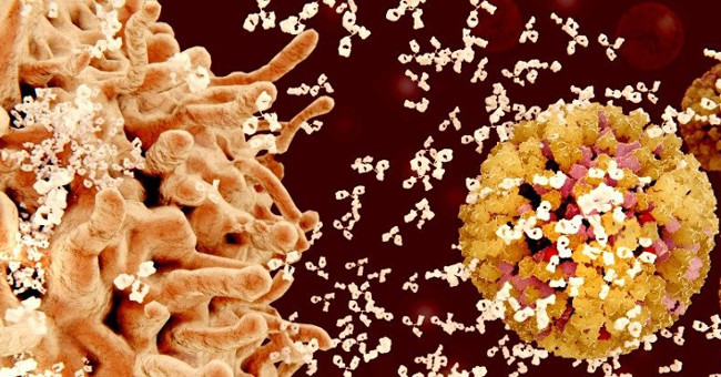 Find out the mechanism that causes the disease to destroy itself