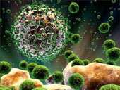 Find out the mechanism to maintain HIV infection