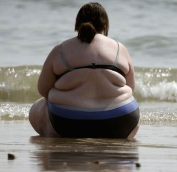 Find out the molecular relationship with obesity and insulin resistance