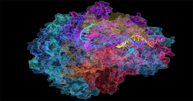 Find out what new antibiotics help overcome drug resistance