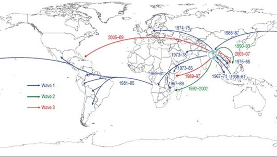 Find out where the cholera originates from the world