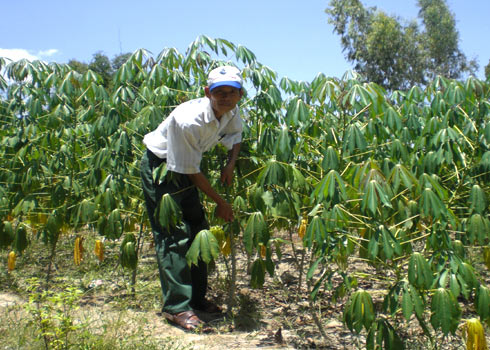 Find raw materials for Ethanol production plant