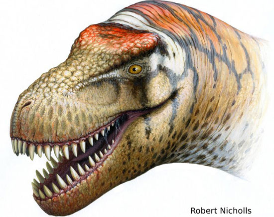 Find relatives of tyrant dinosaurs