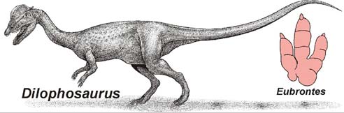 Find shark-eating dinosaurs in Utah