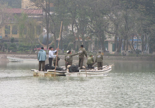 Find the 2nd Turtle in the Sword Lake
