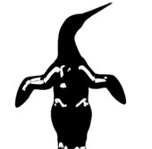 Find the big penguin record