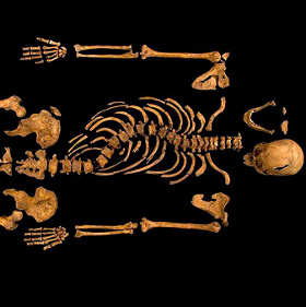 Find the British king's remains under the parking lot