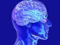 Find the 'compassion point' in the brain
