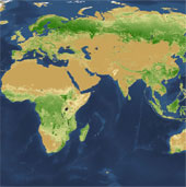 Find the culprit to destroy half of the trees on Earth