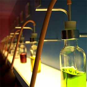 Find the existence of scent 'true love'