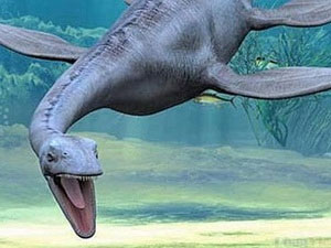 Find the fossil of 4-legged animals at the earliest