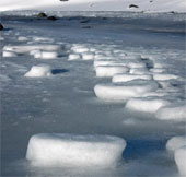 Find the main culprit causing the glaciers to melt
