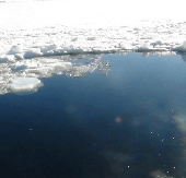 Find the meteorite at the bottom of the lake in vain