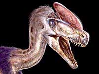 Find the oldest relative of T.rex