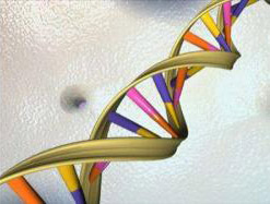 Find the reason for infertility in men