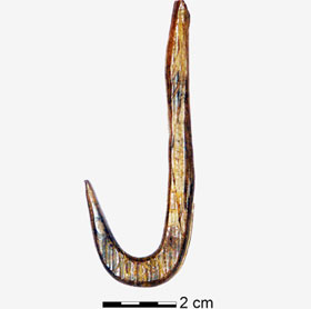 Find the set of hooks from the ice age