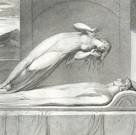 Find the source of human immortality beliefs