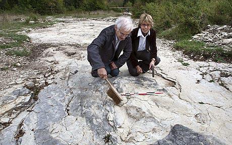 Find the world's largest dinosaur footprint