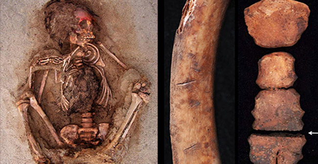 Finding collective children graves dating back about 550 years