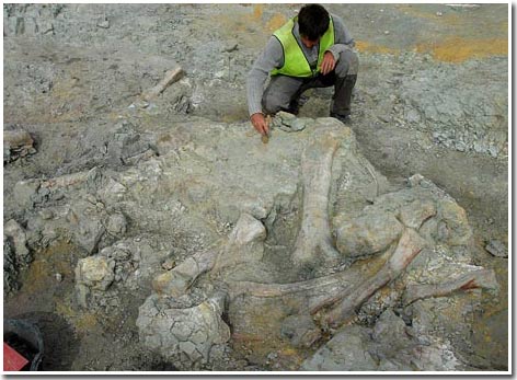 Finding dinosaur 'graveyards' in Spain