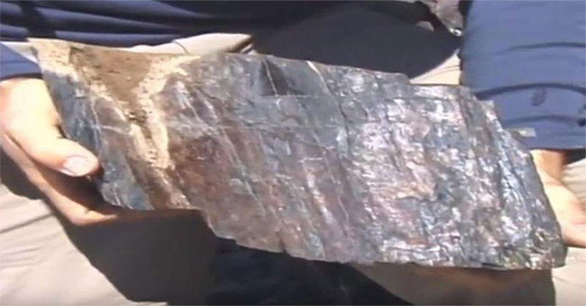 Finding fossils given by Noah rescued