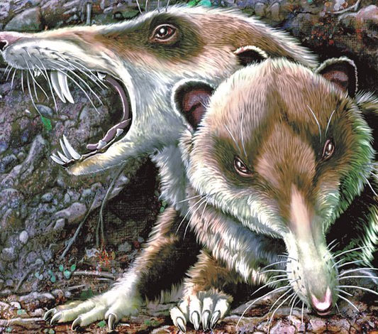 Finding fossils of squirrels with ancient sword teeth