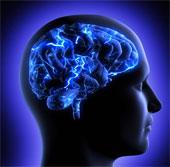 Finding new ways to treat brain damage