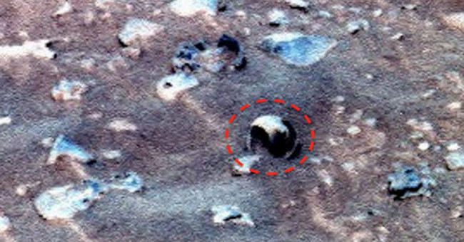 Finding shells on Mars
