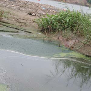Finding the cause of the Red River