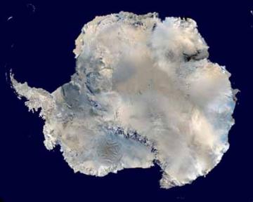Finding the climate in Antarctica is wrongly predicted
