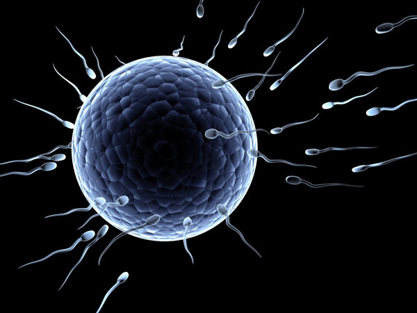 Finding the gene that can cure infertility for men