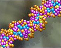 Finding the gene that causes serious disease
