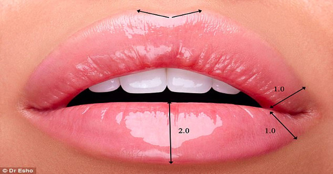 Finding the standard for perfect lips is the most desirable by many people