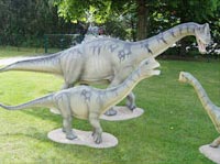 Finding tiny dinosaurs in Germany