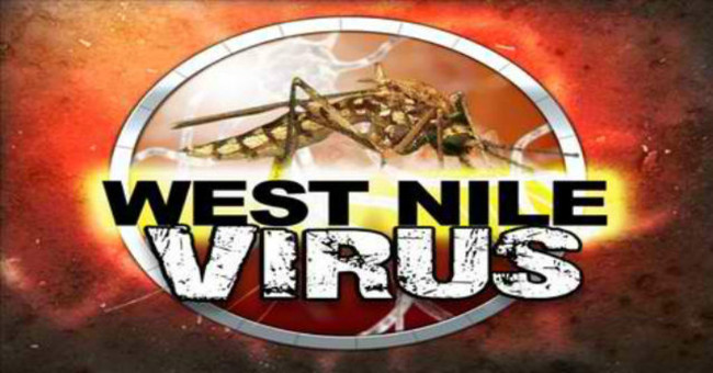 Finding ways to cure memory loss caused by West Nile virus infection