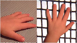 Finger length reveals learning power