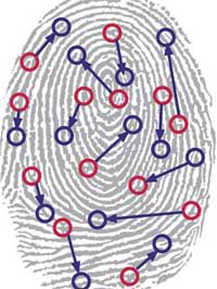 Fingerprint look guessing personality