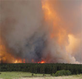 'Fire attack' raged in America, thousands of people evacuated