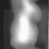 Fire detection camera