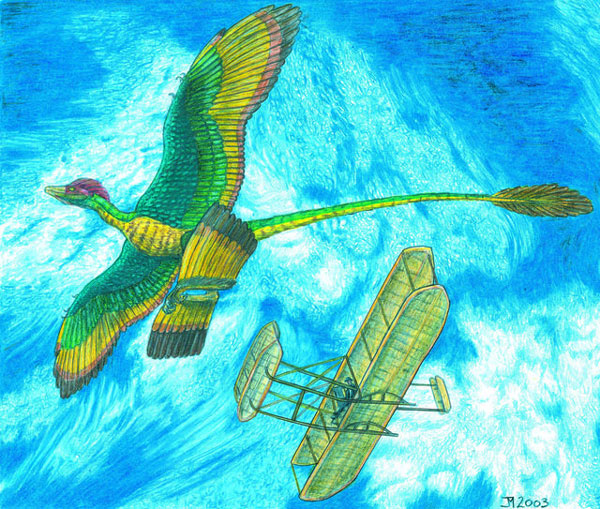 First evidence of dinosaurs 'flying' to eat birds
