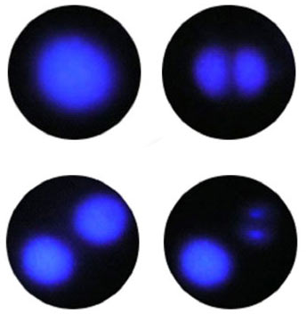 First image in Carbon atom