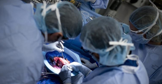 First organ transplant for HIV-infected people