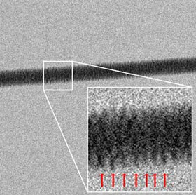 First shot of a DNA image