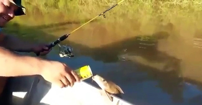 Fish clinging to the side of the boat demanding beer